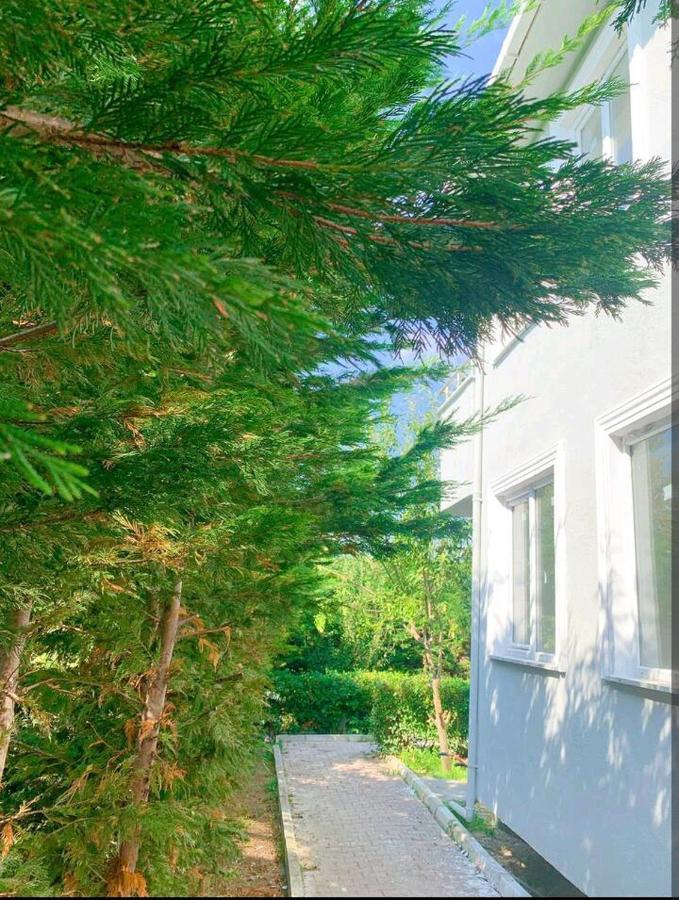 Kapali 13 Arnavutkoy エクステリア 写真